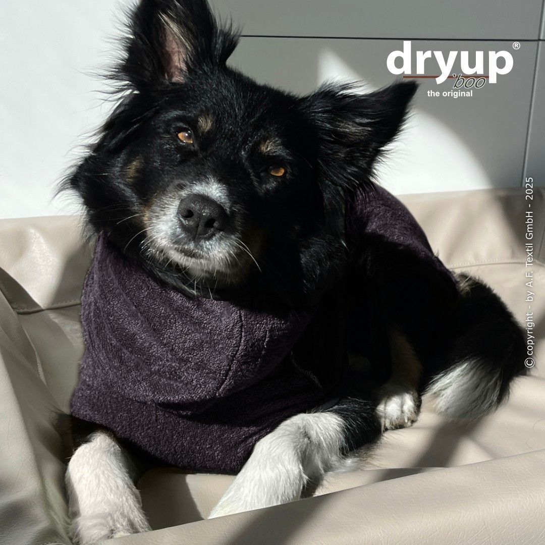dryup® Cape Bamboo Mini - Bademantel für Hunde - verschiedene Farben und Größen