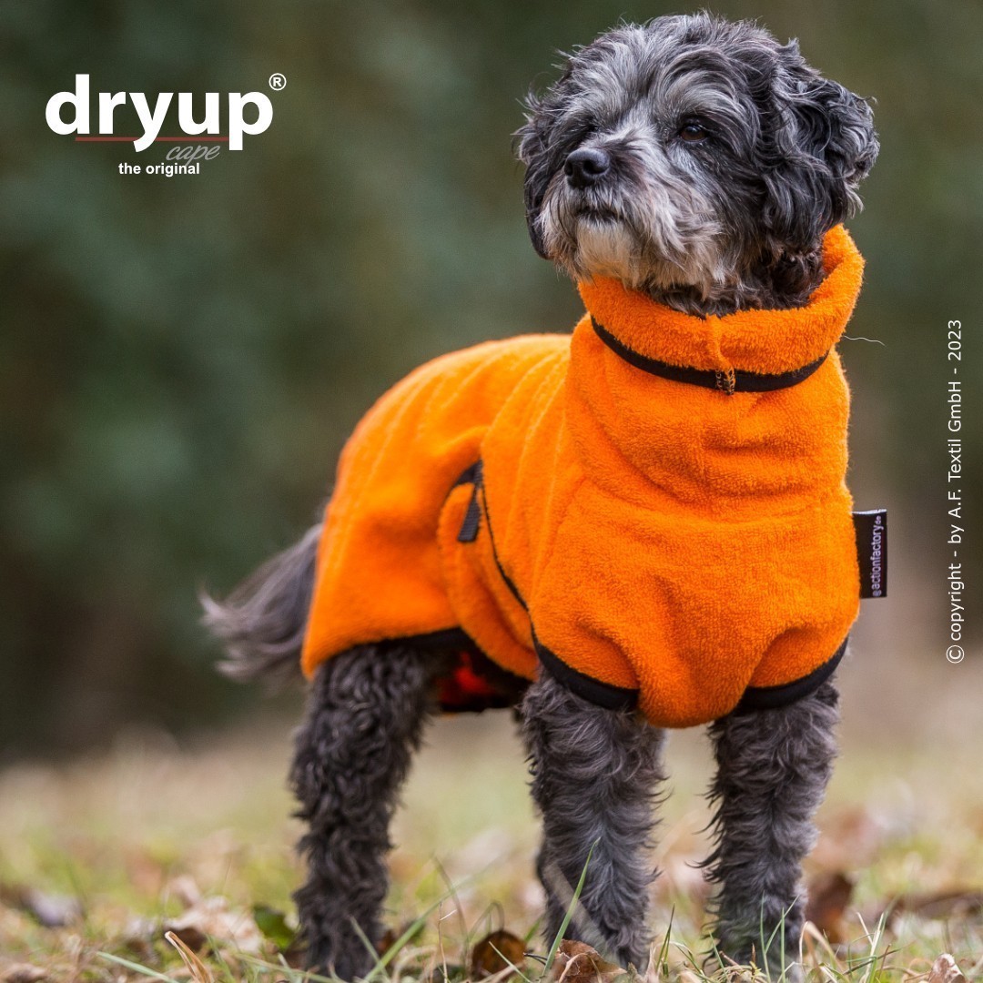 dryup® cape Mini - Bademantel für Hunde | verschiedene Farben und Größen