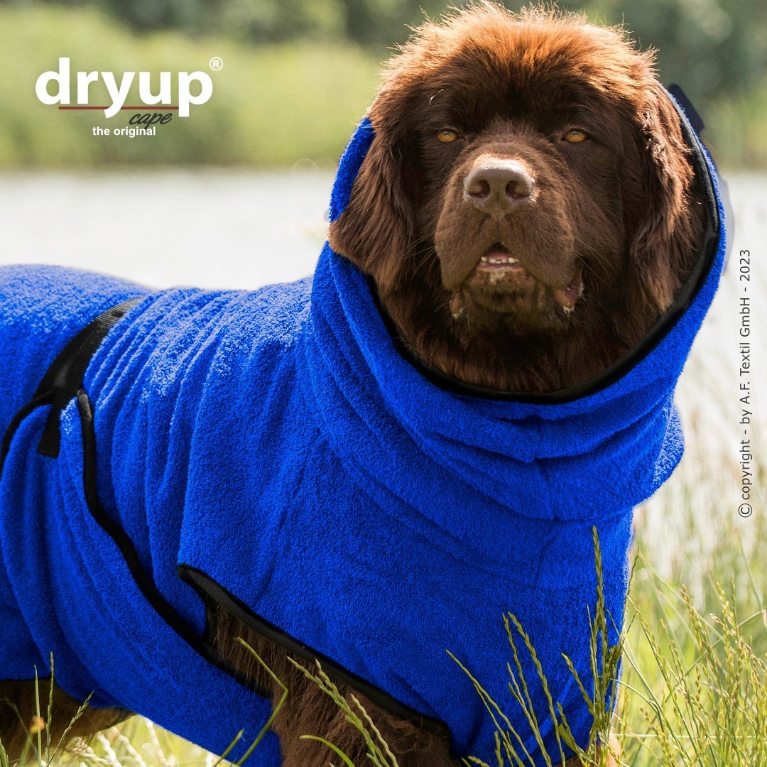 dryup® Cape Big - Bademantel für Hunde - verschiedene Farben und Größen