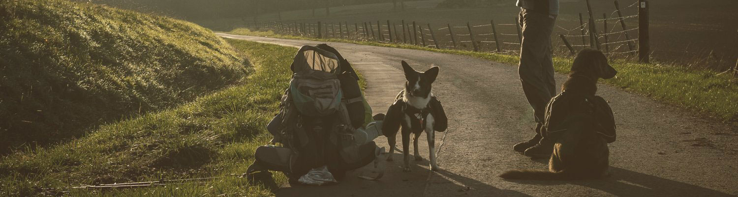 Gemeinsam draußen unterwegs – Outdoor-Abenteuer mit Hund