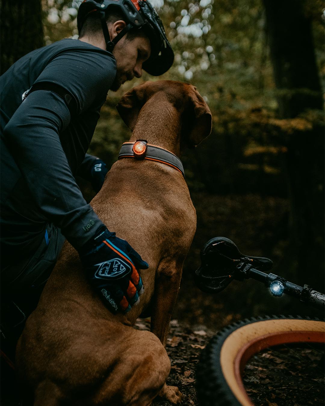 Orbiloc K9 Active Pack – LED-Sicherheitslicht für Hund und Hundesportler, Amber & Dark