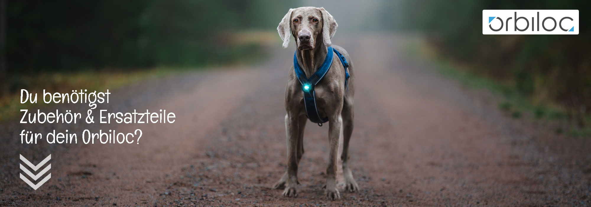 orbiloc_F.jpg?ts=1774713441