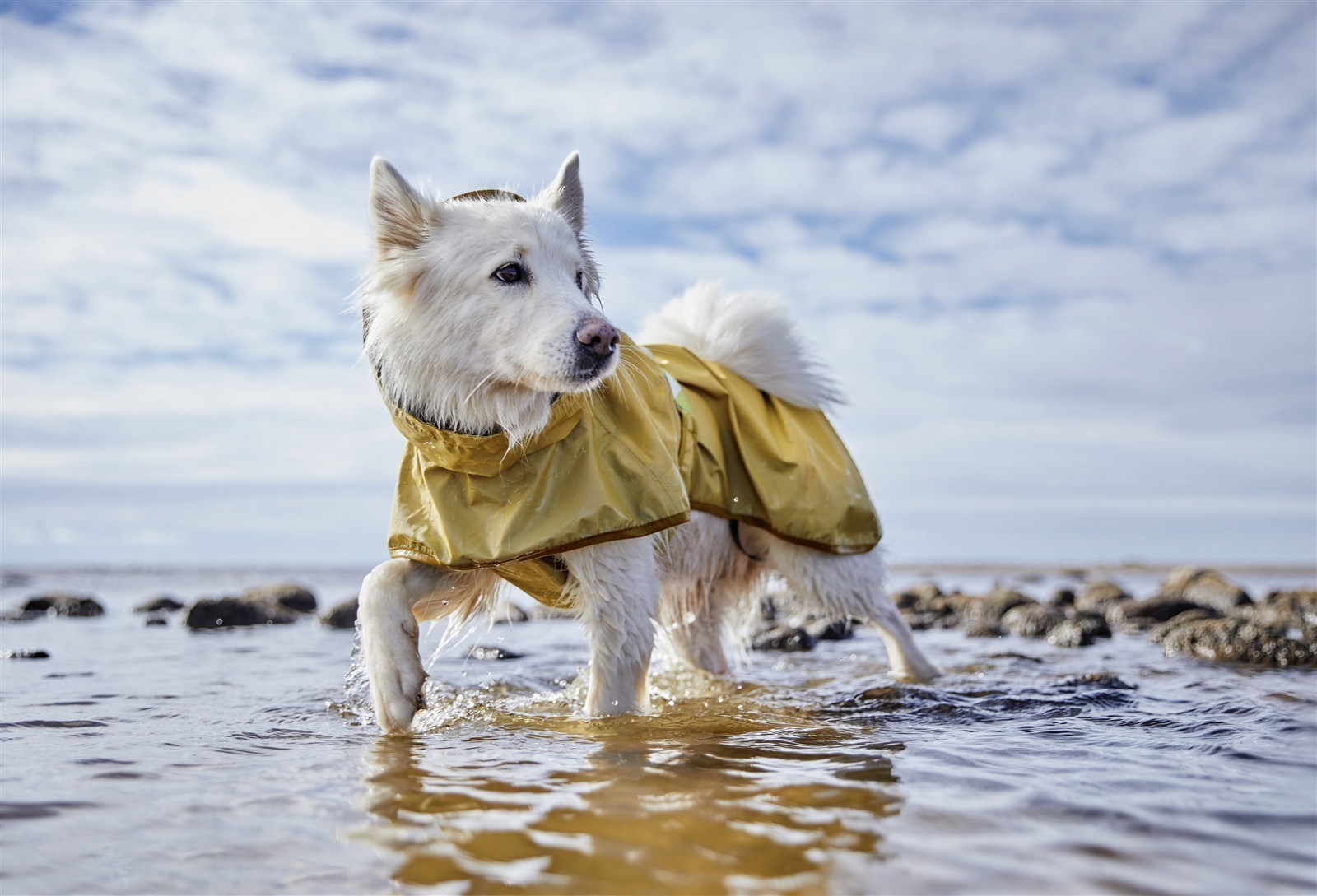 Hurrta® Reflektierender Regenmantel Mudventure | turmeric