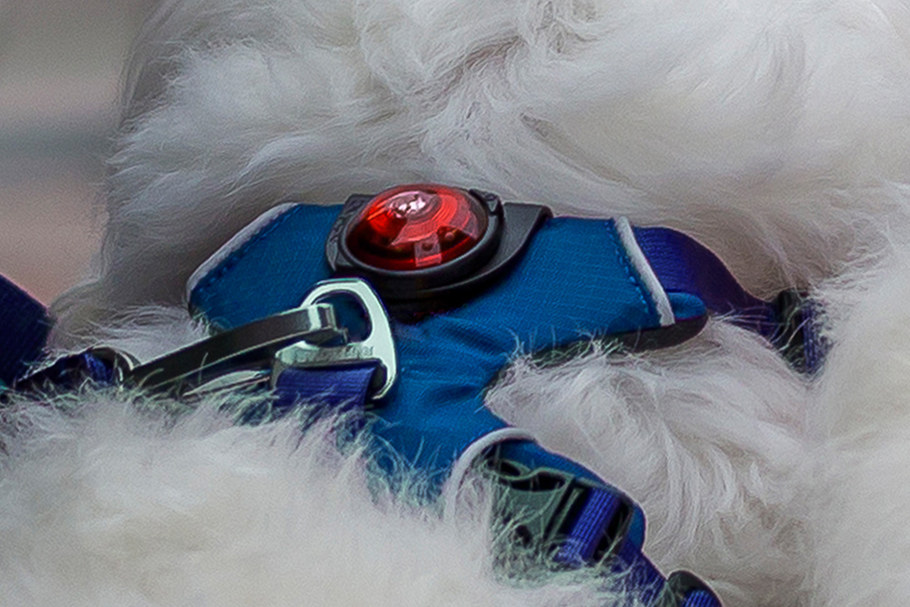 Orbiloc Clip – Befestigung für Orbiloc Sicherheitsleuchten an Kleidung und Ausrüstung