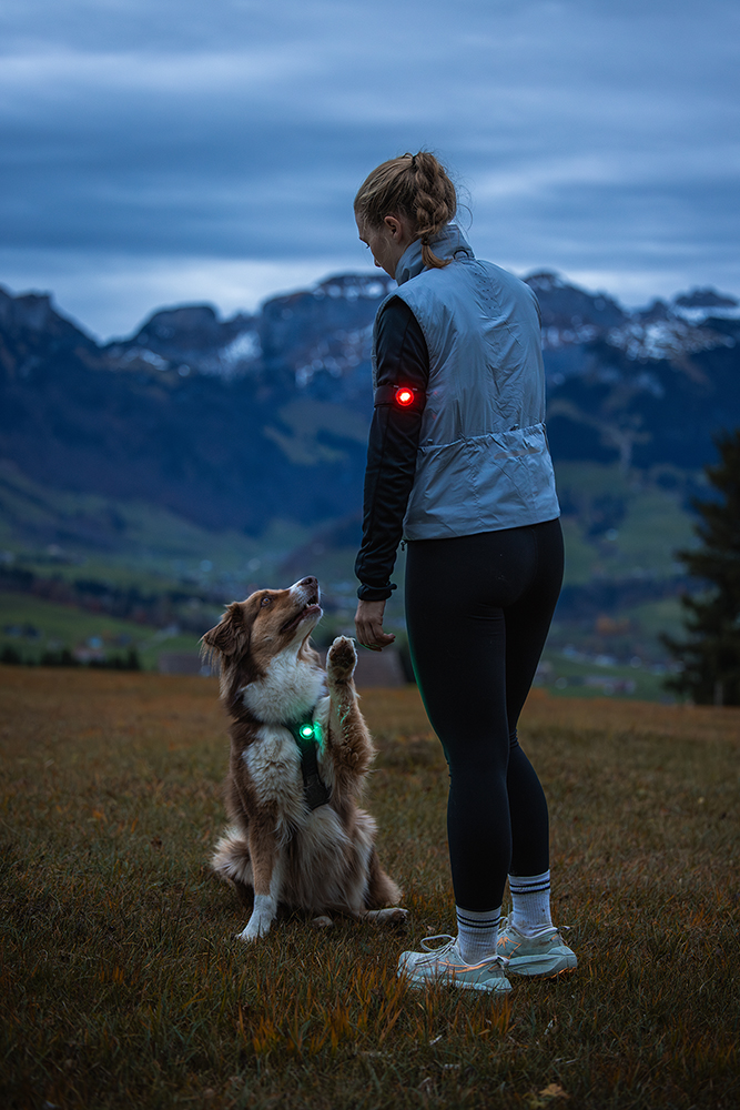Orbiloc Sports Kit – Armband und Clip für Orbiloc Leuchten beim Sport, Laufen und Wandern
