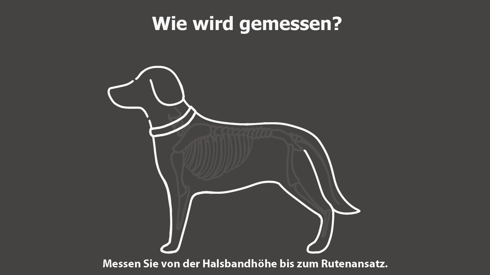 messen gif.gif?ts=1771584957