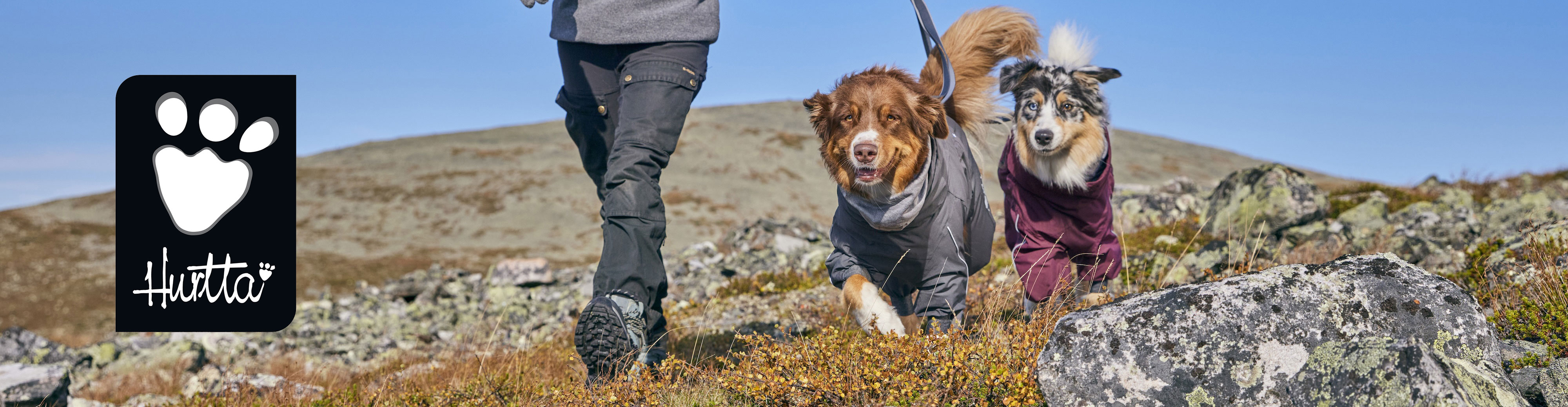 Hurtta Outdoor-Ausrüstung für Hunde bei Wind und Wetter