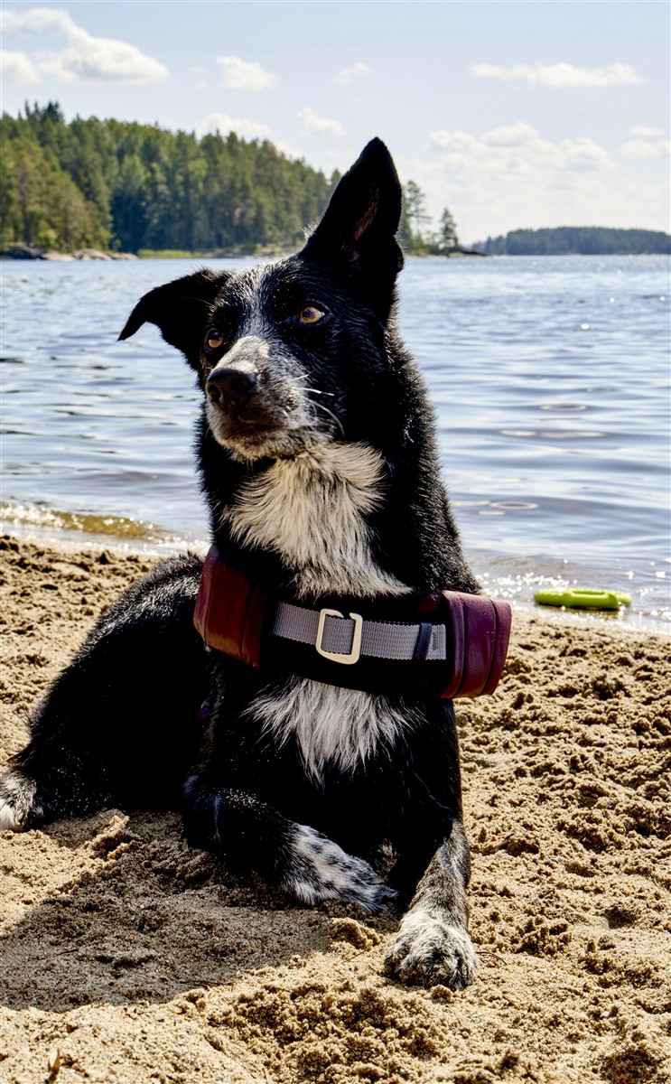 Hurtta Schwimmweste Life Savior – eggplant – 5-10 kg