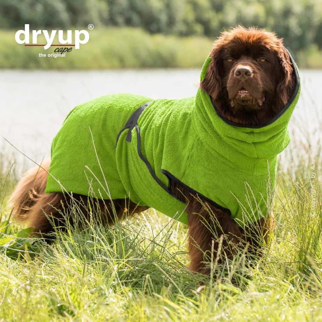 dryup® cape Big - Bademantel für Hunde - verschiedene Farben und Größen