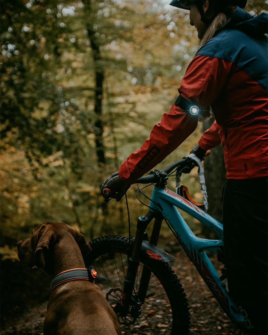 Orbiloc K9 Active Pack – LED-Sicherheitslicht für Hund und Hundesportler, Amber & Dark