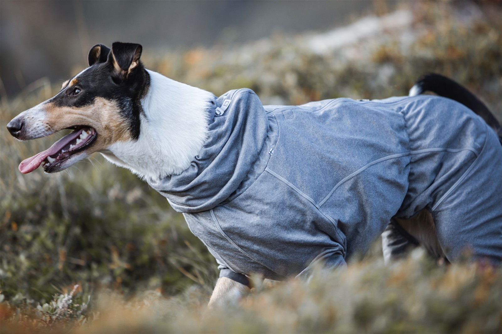 Hurrta® Hunde-Overall Body warmer | carbon grey