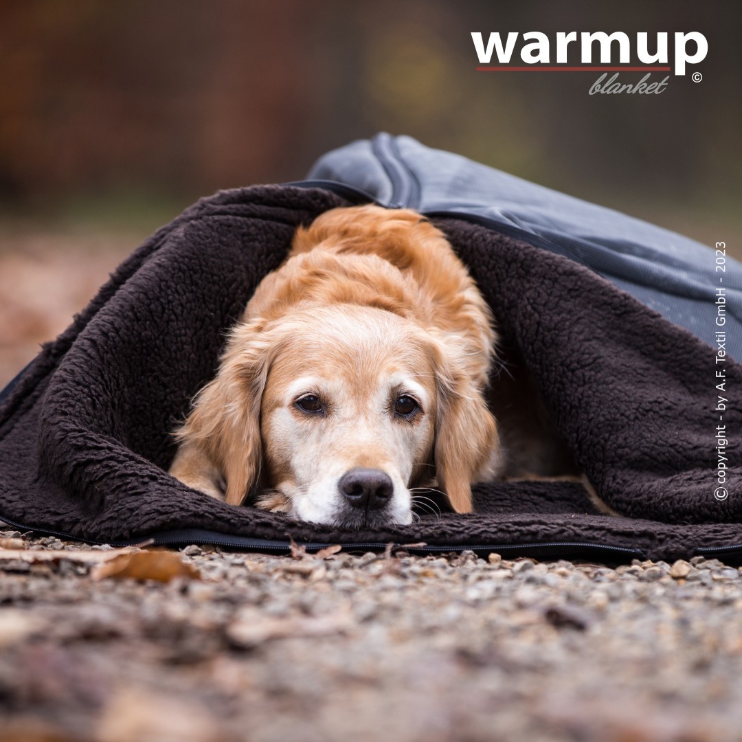 Warmup® Blanket - Neopren-Decke mit Lammfelloptik - verschiedene Farben und Größen