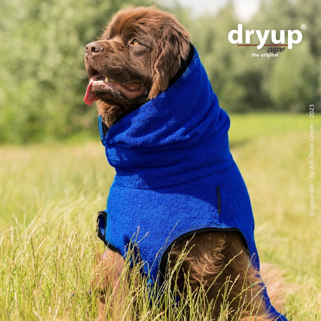dryup® Cape Big - Bademantel für Hunde - verschiedene Farben und Größen