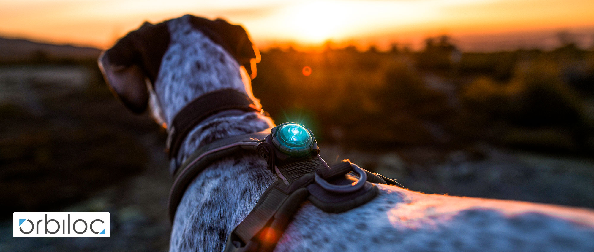 orbiloc_E.jpg?ts=1774713440