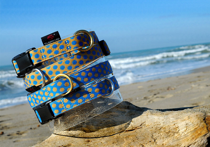 SUCHtrupp® Hundehalsbänder und Leinen – handgefertigt in Deutschland