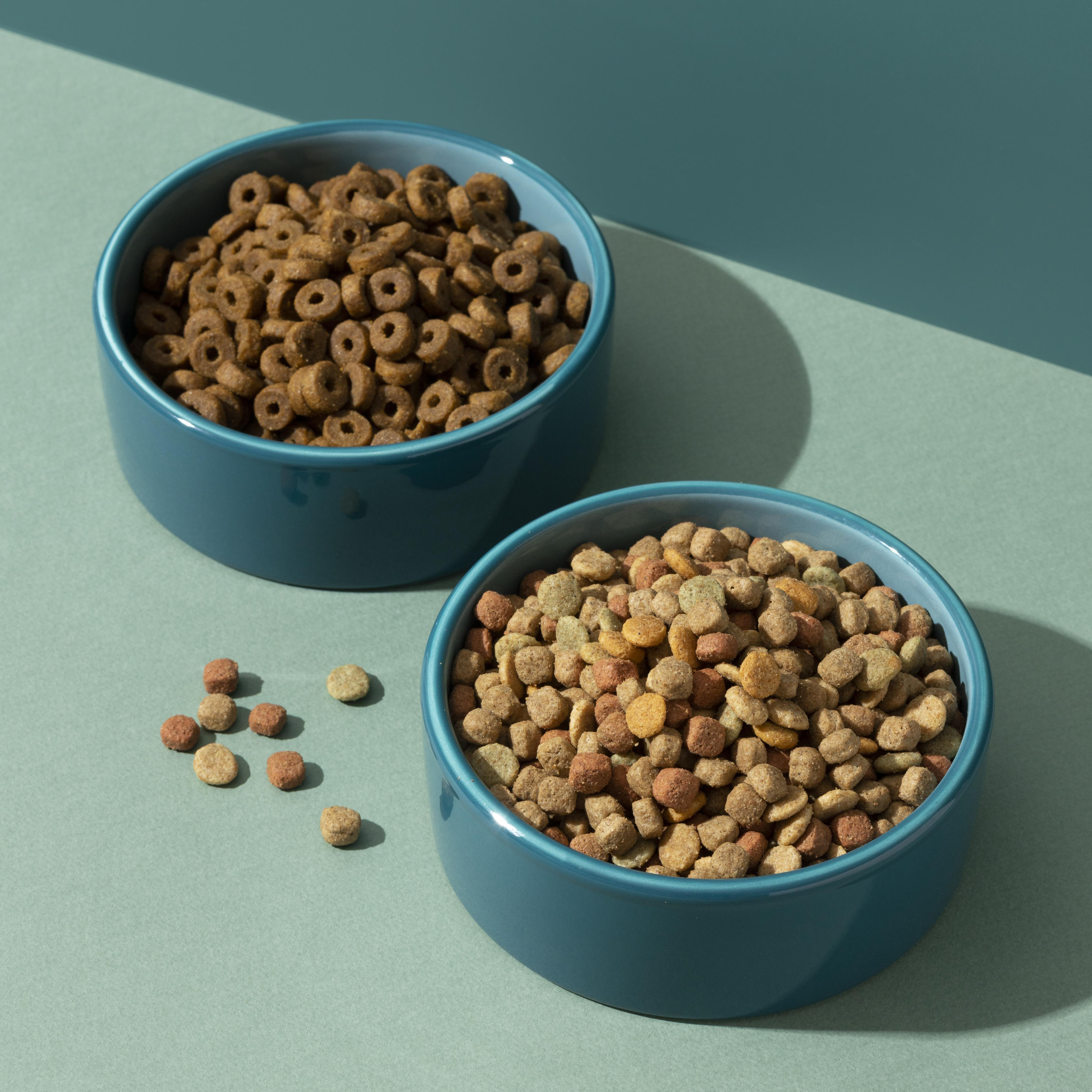 Hundefutter für aktive Hunde