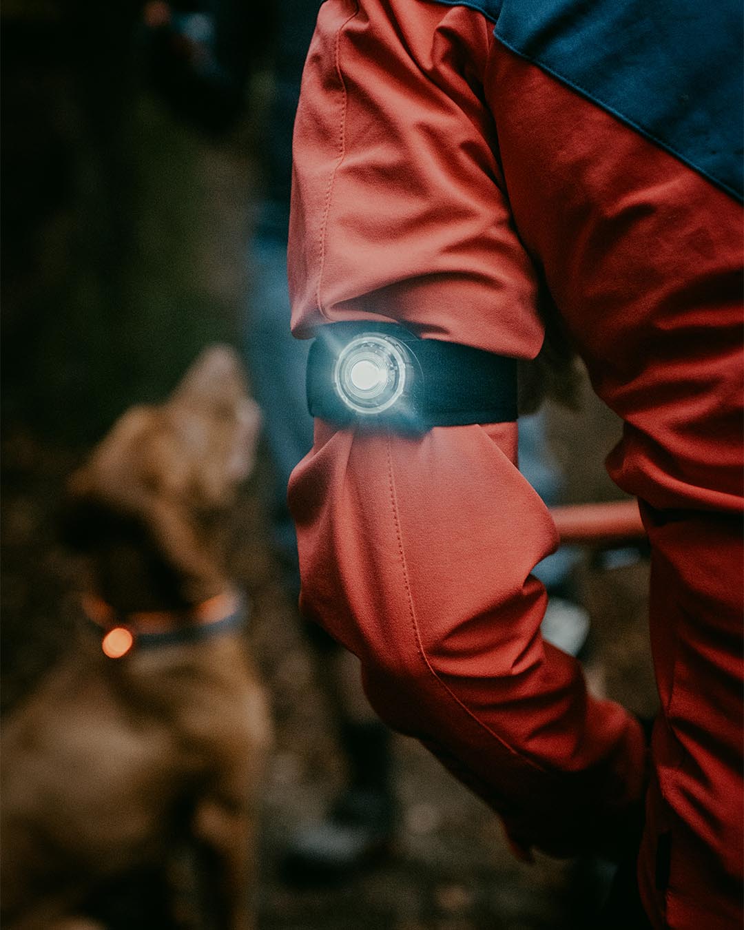 Orbiloc K9 Active Pack – LED-Sicherheitslicht für Hund und Hundesportler, Amber & Dark