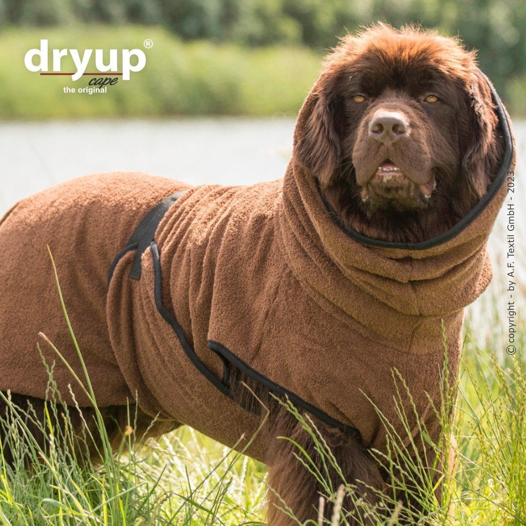 dryup® Cape Big - Bademantel für Hunde - verschiedene Farben und Größen