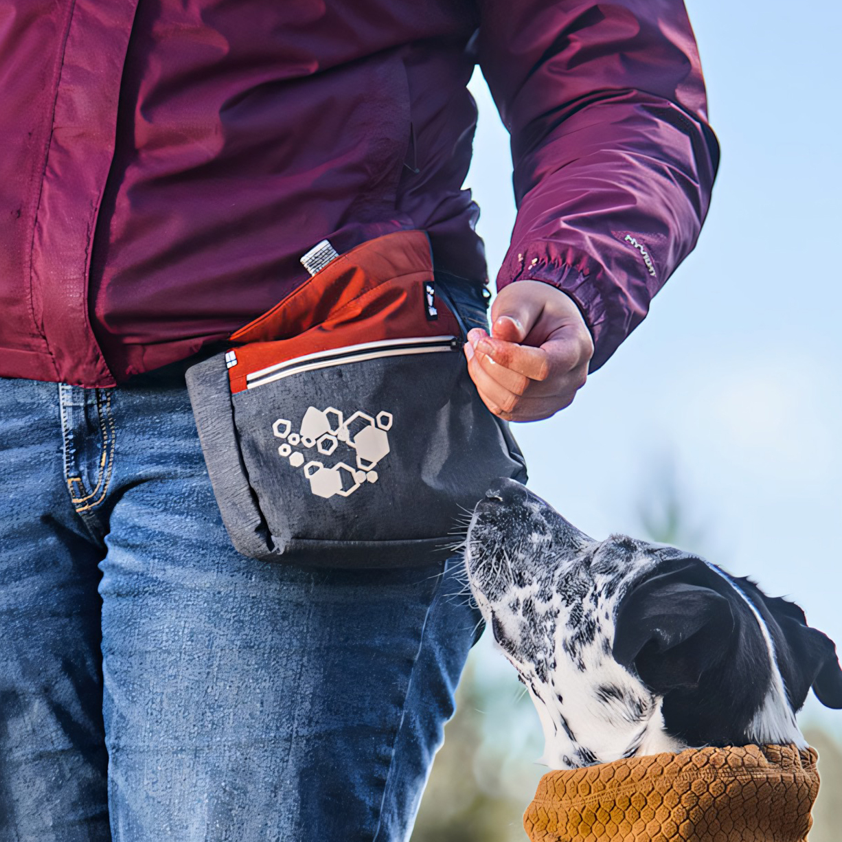 Zubehör für unterwegs und Hundetraining