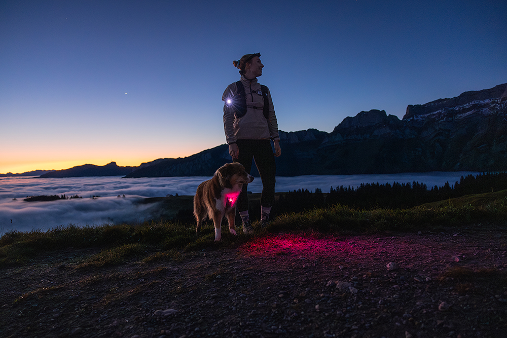 Orbiloc Dog Dual Safety Light – LED-Sicherheitslicht für Hunde, 5 km sichtbar