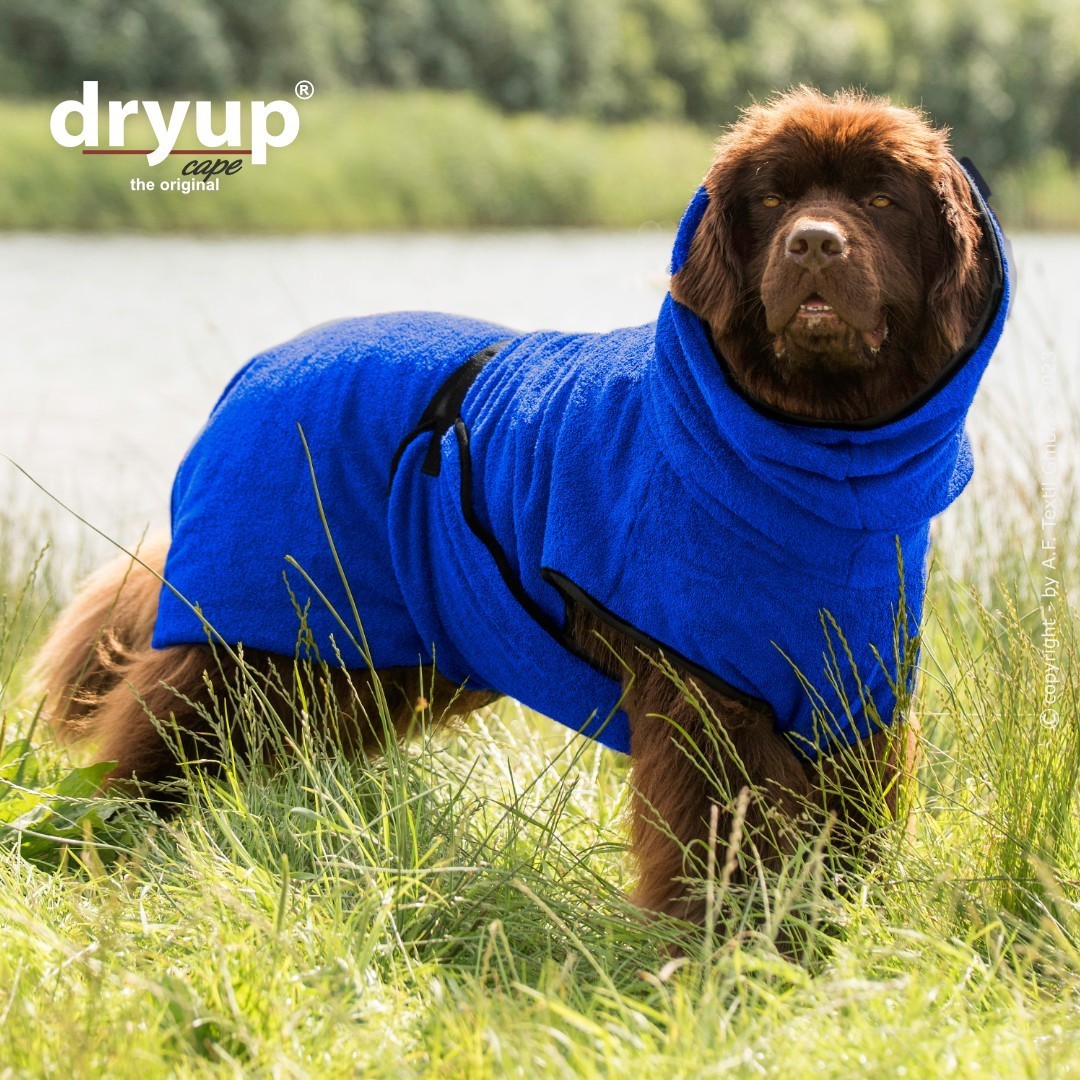 dryup® Cape Big - Bademantel für Hunde - verschiedene Farben und Größen
