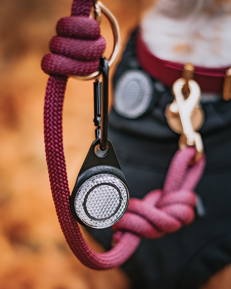 Orbiloc Reflective Carabiner – Reflektor-Karabiner für zusätzliche passive Sichtbarkeit bei Nacht