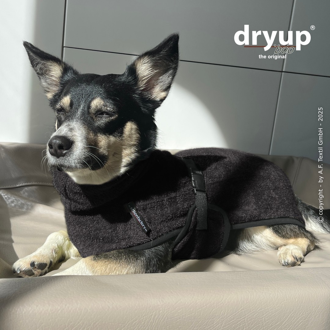 dryup® Cape Bamboo Mini - Bademantel für Hunde - verschiedene Farben und Größen